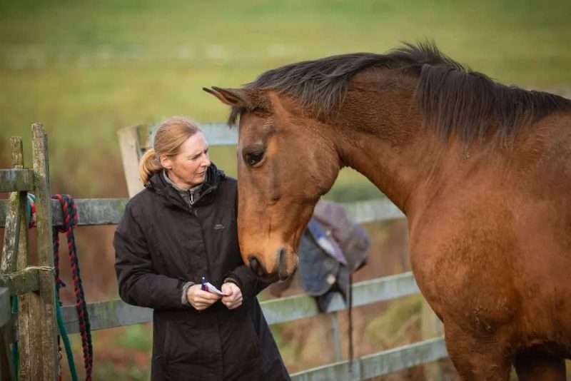 The equine therapy instructor at Smarmore Castle rehab clinic standing next to a brown horse