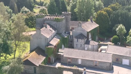 Aerial photo of Smarmore Castle, addiction rehab, and grounds with trees framing the buildings and courtyard