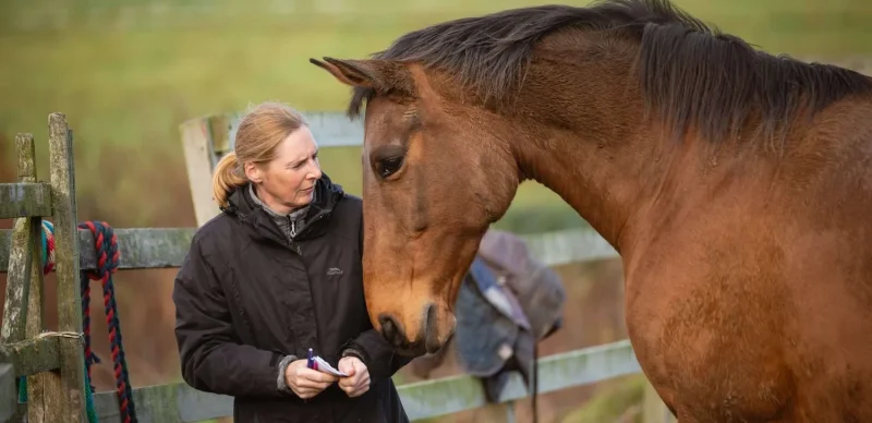 Picture of a woman and a horse outside with a fence behind them as part of equine therapy at Smarmore Castle